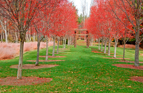 lee new hampshire